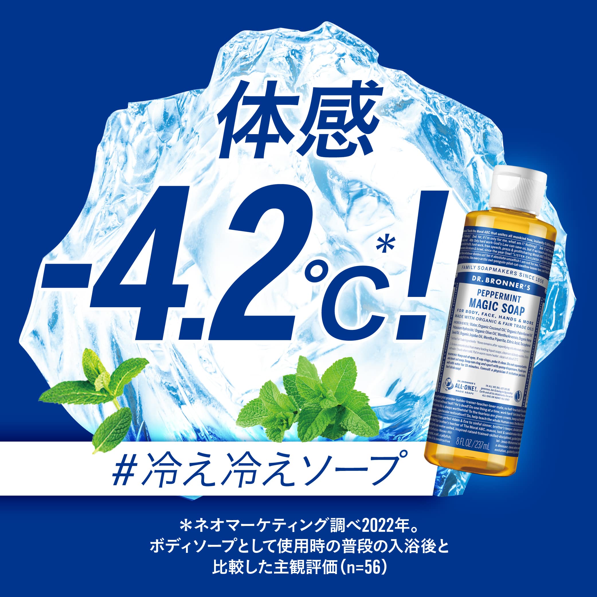 体感温度 4.2℃